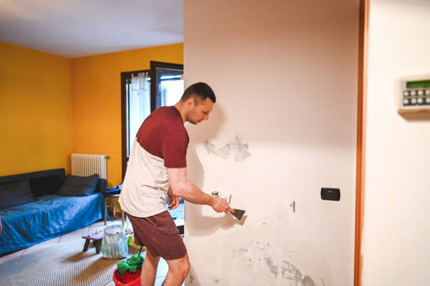 Best Attic Mold Removal  in Pensacola, FL